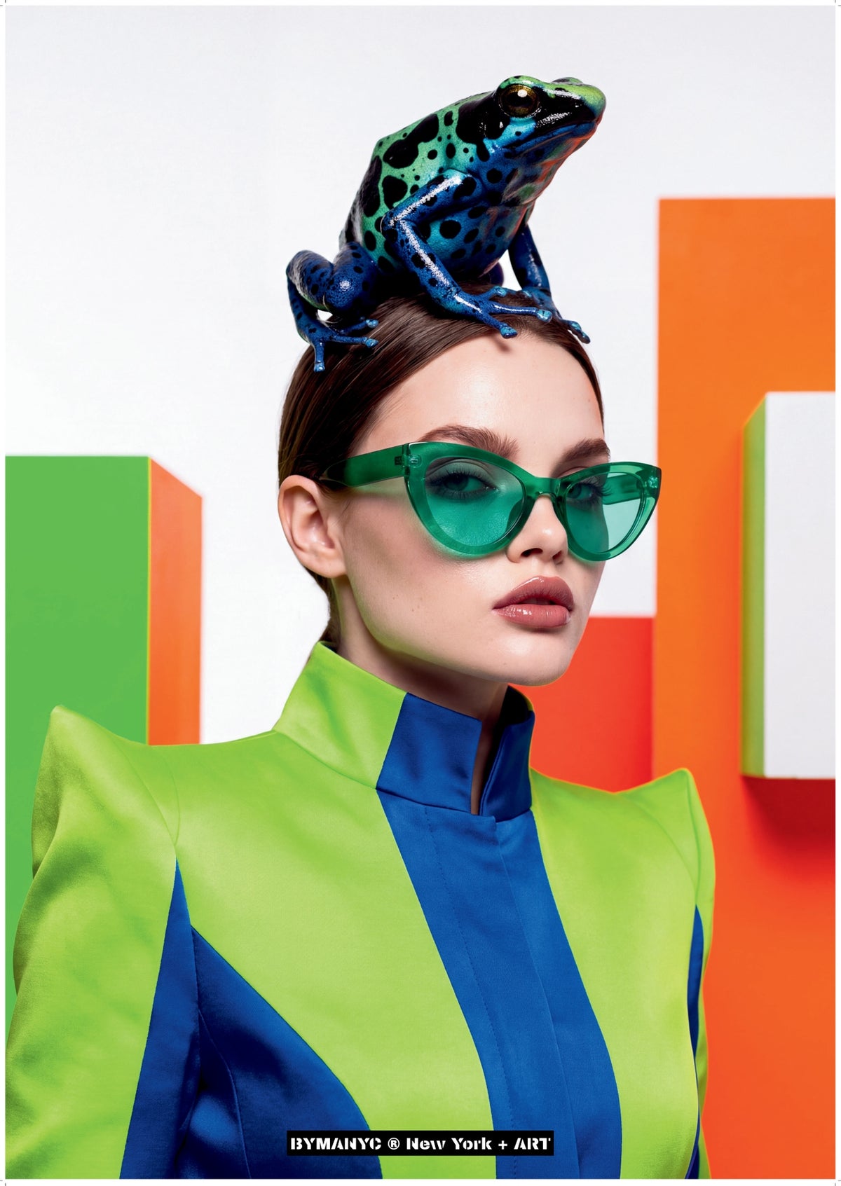 POSTER OF ART FASHION - THE VENOMOUS VOGUE - High-Fashion Edition with Dart Frog Aesthetics and Color-Block Geometry - BYMANYC ® New York + ART